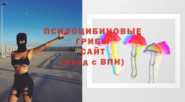 сатива Магадан