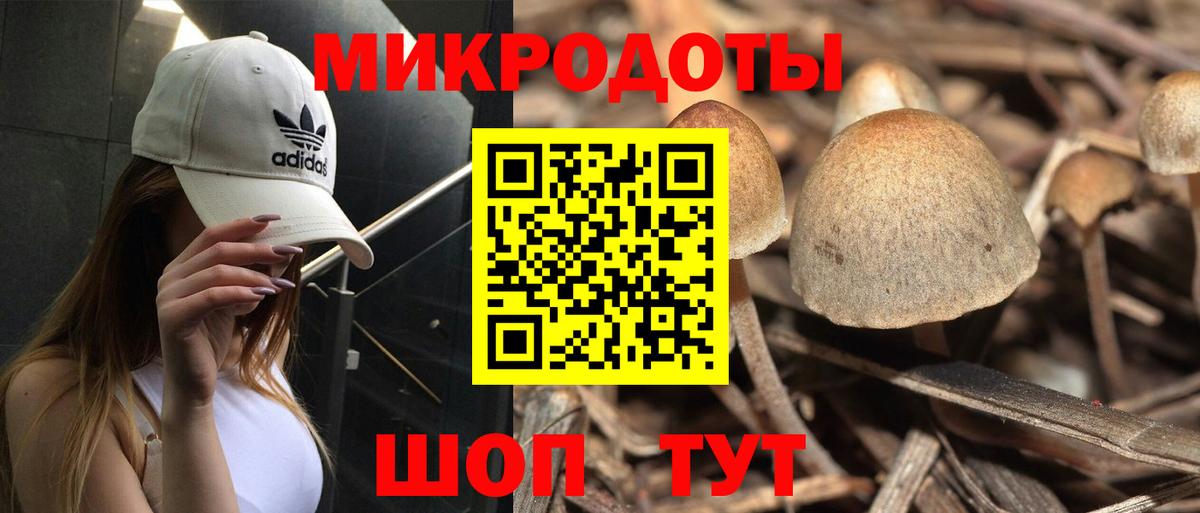Галлюциногенные грибы мухоморы Таганрог